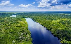 Puerto Selva Amazónica