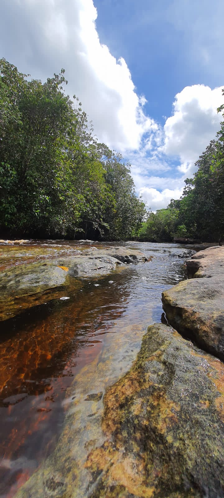 Tour image 1