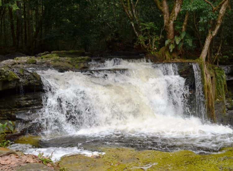 Tour image 1